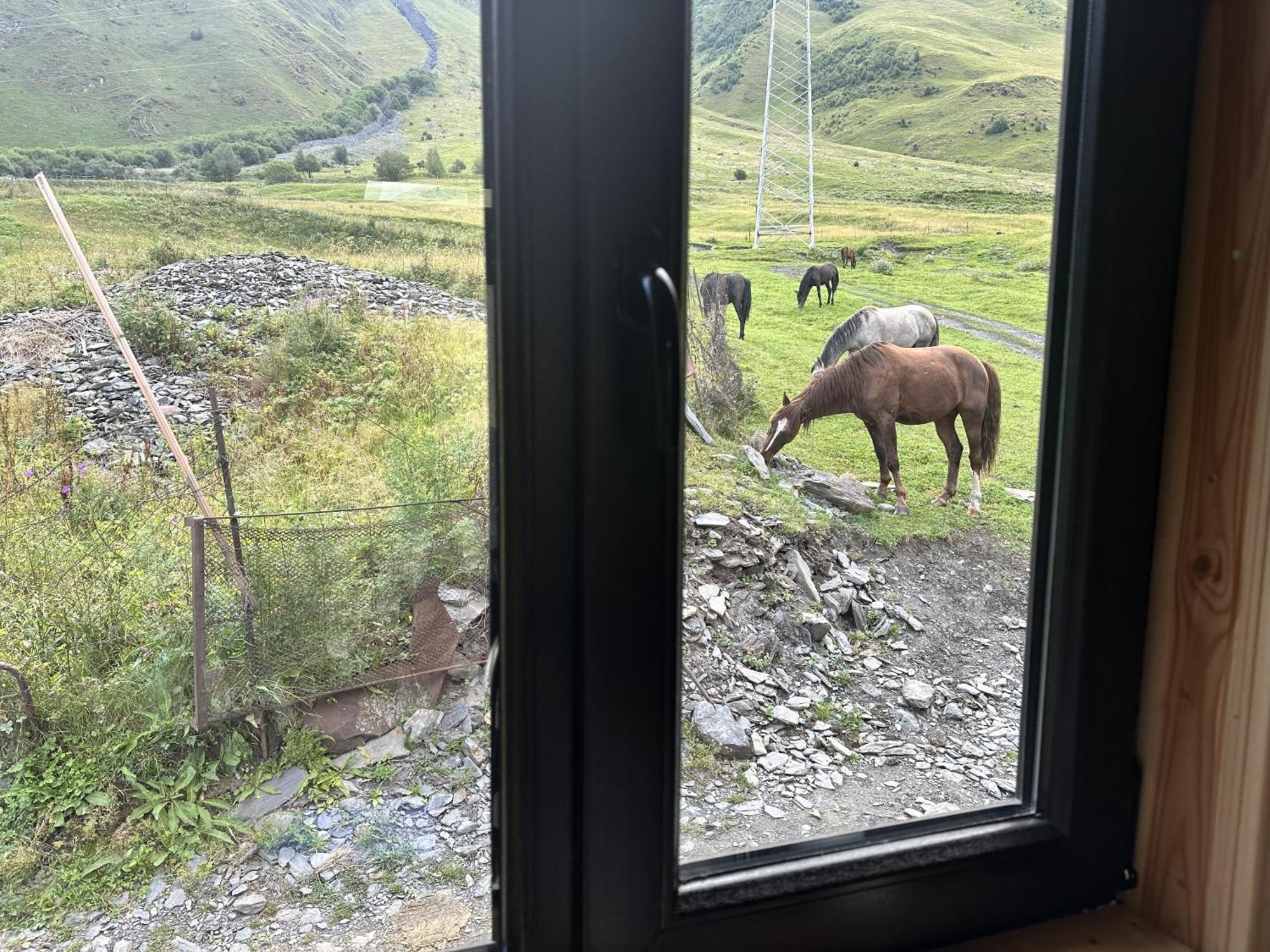 A&B Cottages Kazbegi Εξωτερικό φωτογραφία